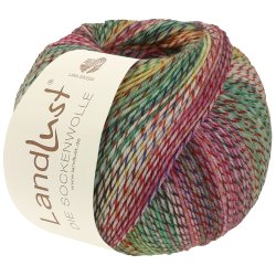 Landlust Die Sockenwolle 218 Grn/Rd/Pink/Bl/Gul 100g